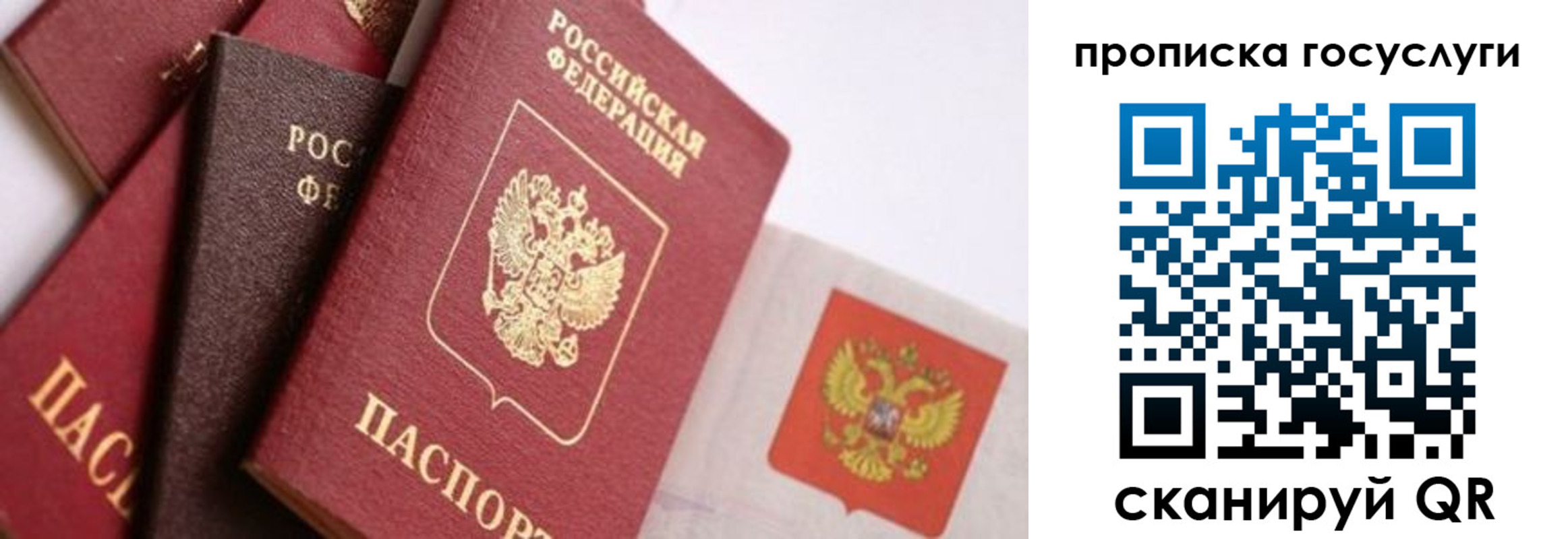 прописка законно в Меленках